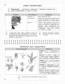 Биология: 5-11 классы