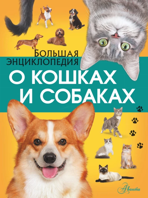 Большая энциклопедия о кошках и собаках