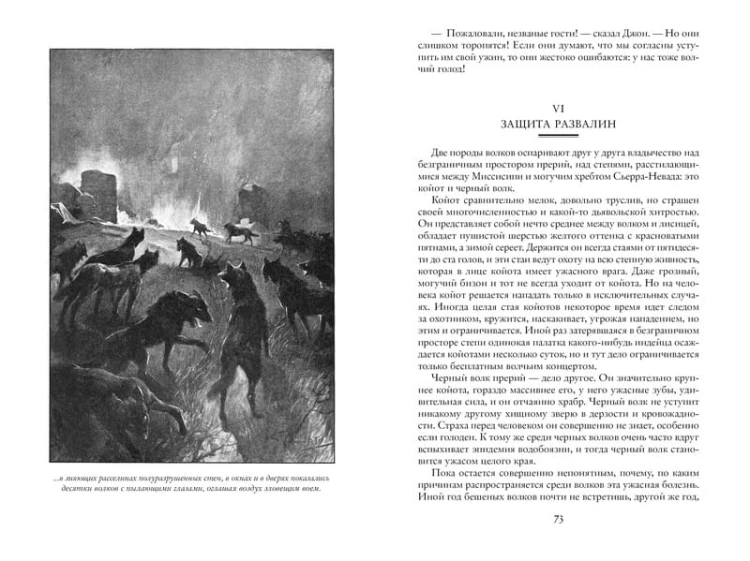 На Дальнем Западе. Охотница за скальпами. Смертельные враги