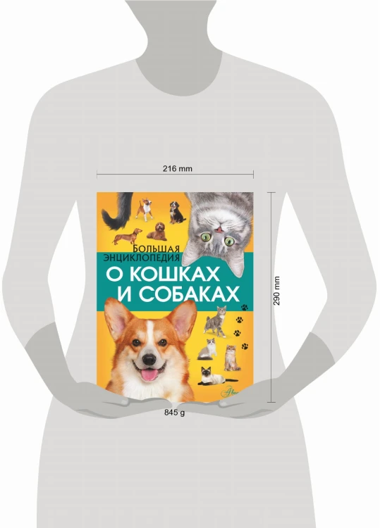 Большая энциклопедия о кошках и собаках