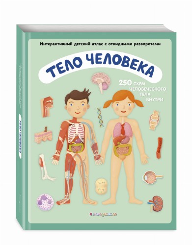 Тело человека. Интерактивный детский атлас с откидными разворотами