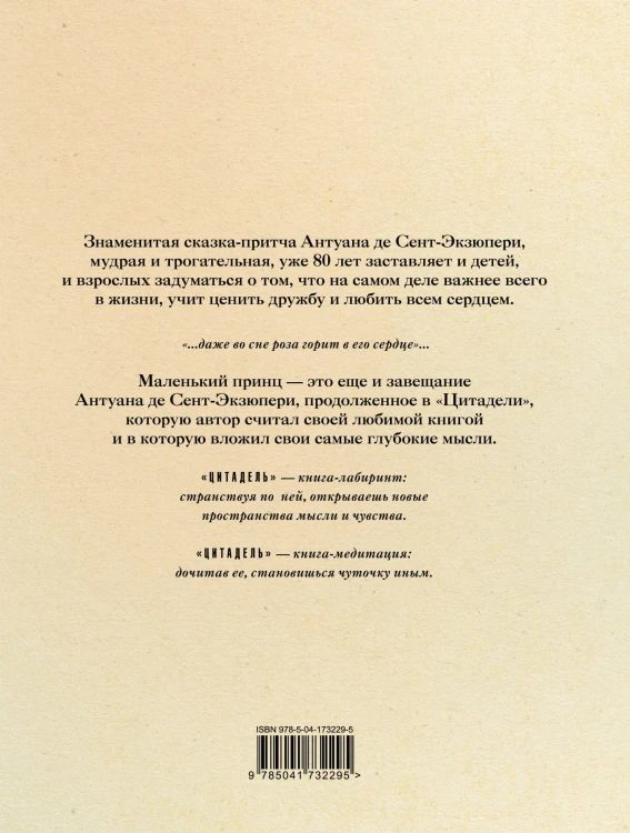 Маленький принц и Цитадель