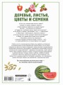 Деревья, листья, цветы и семена