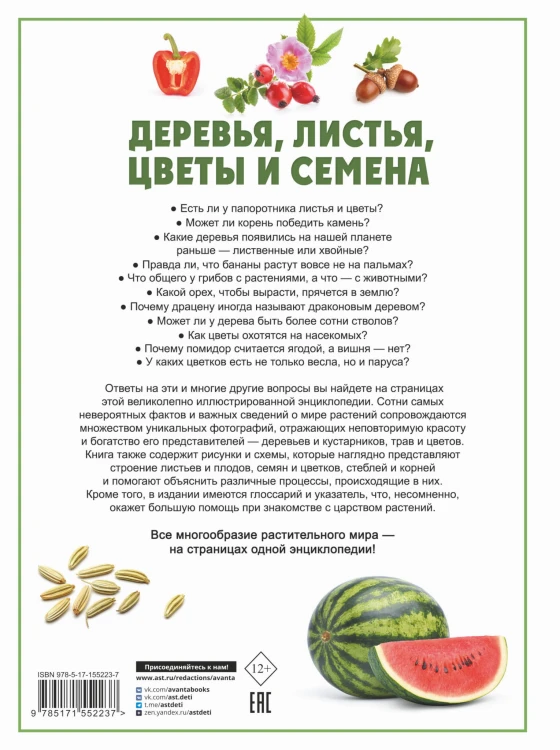 Деревья, листья, цветы и семена