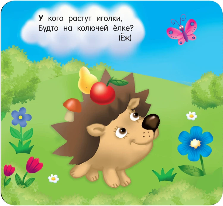 Загадки