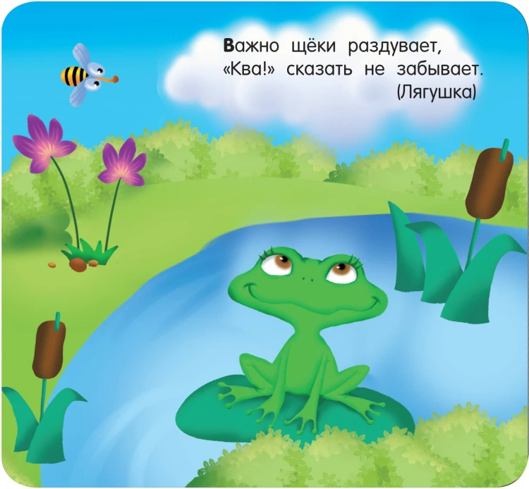 Загадки