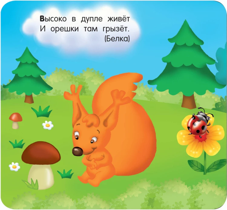 Загадки