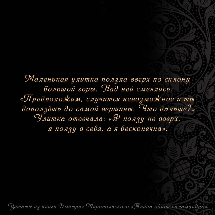 Тайна одной саламандры