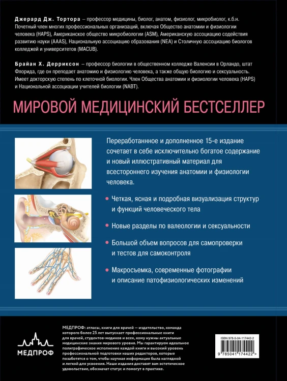 Анатомия. Физиология. Фундаментальные основы. 15-е издание