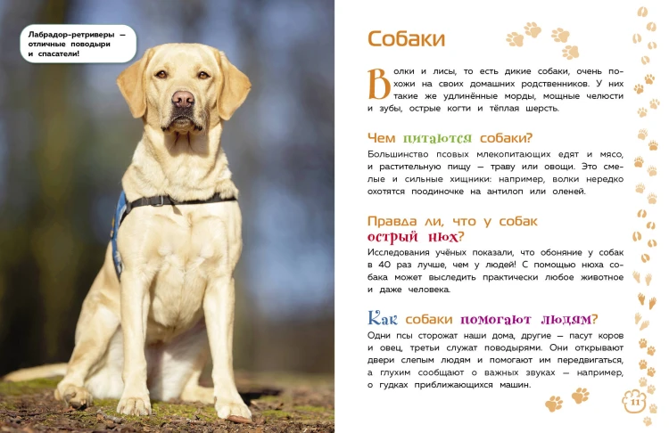 Животные. Большая детская энциклопедия
