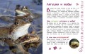 Животные. Большая детская энциклопедия