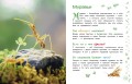 Животные. Большая детская энциклопедия