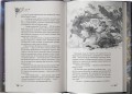 Адораки. Выживший в руинах