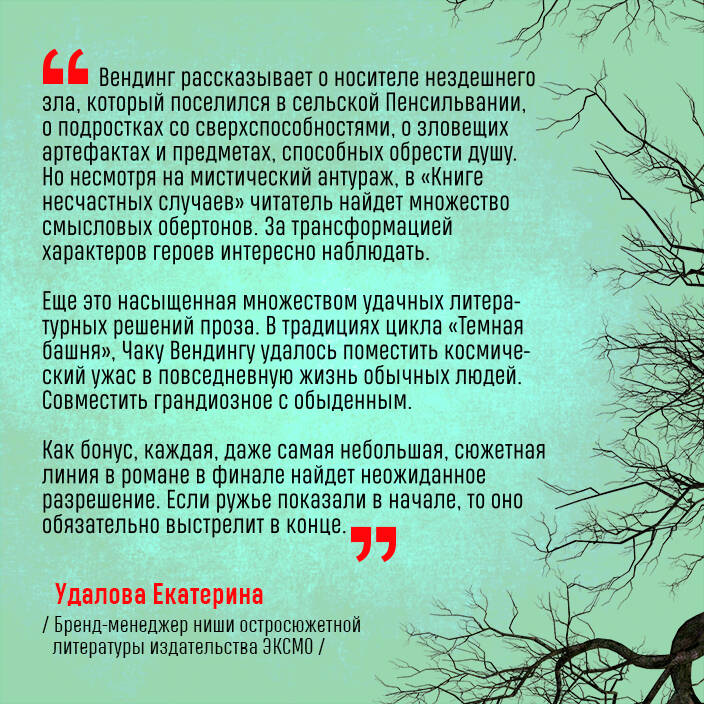 Книга несчастных случаев