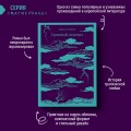 Любовь, изменившая жизнь (комплект из 2-х книг: Грозовой перевал и Великий Гэтсби)
