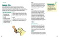 Твоя собака. Воспитание и тренировка
