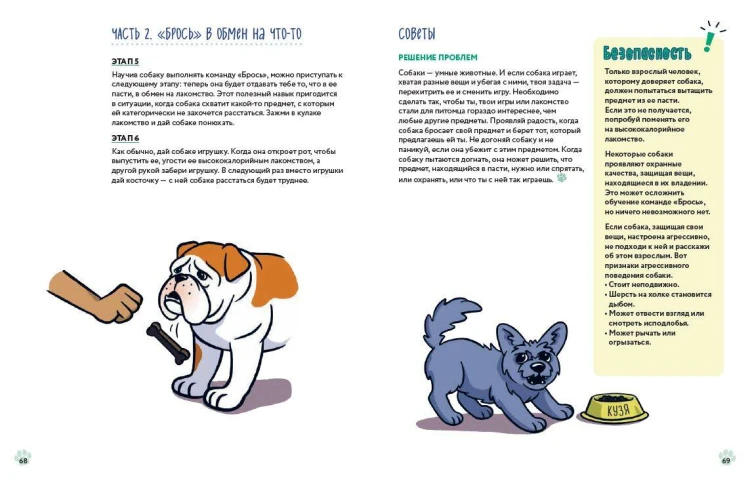Твоя собака. Воспитание и тренировка