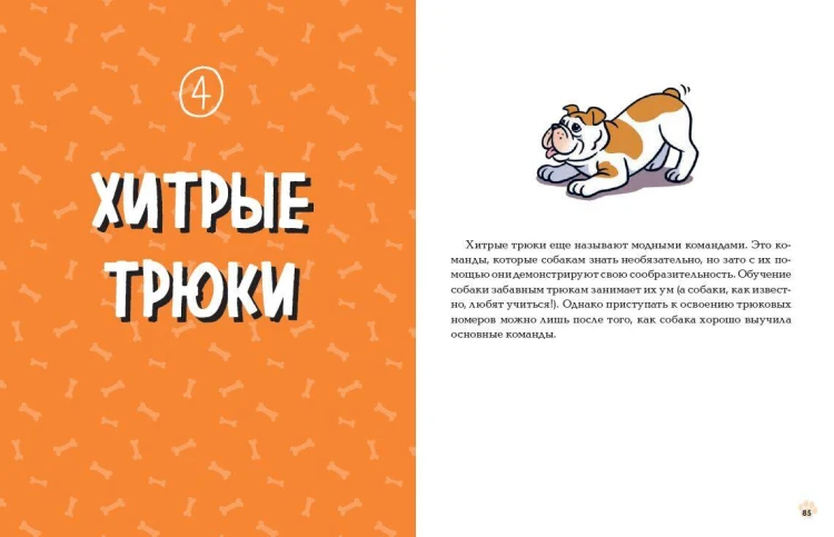 Твоя собака. Воспитание и тренировка