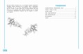 Учимся писать грамотно. 3 класс