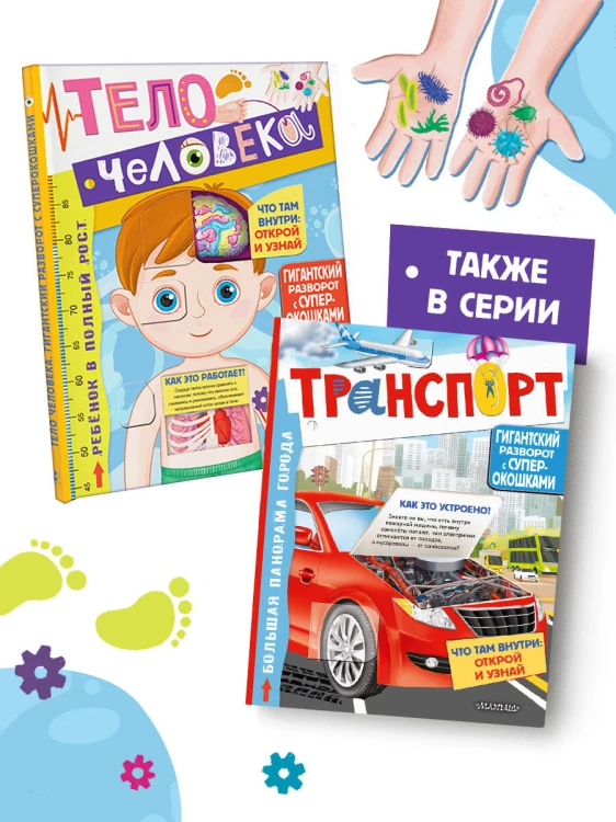 Тело человека