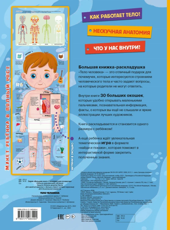 Тело человека