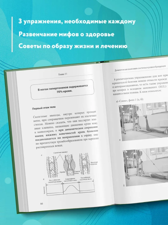 Ленивая гипертония. Как справиться с истинной причиной высокого давления
