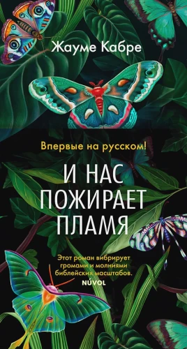 И нас пожирает пламя.webp