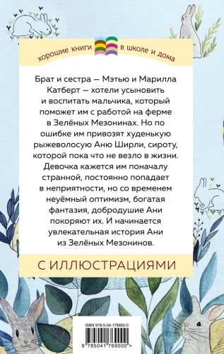 Аня из Зеленых Мезонинов 2.webp