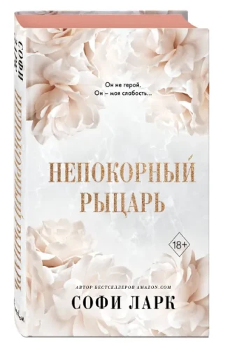 1234.webp