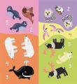 12.webp