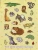 123.webp