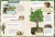 123.webp