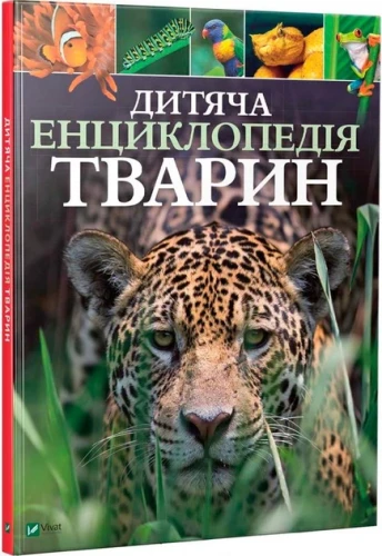 11293517.webp