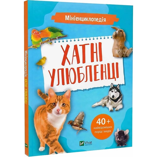 11293517.webp