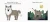 2.webp