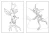 2.webp