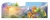 3.webp