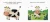 2.webp