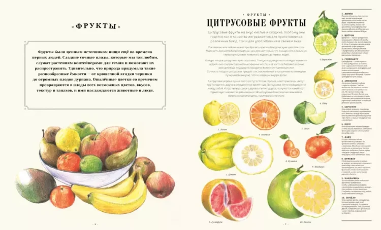 3.webp