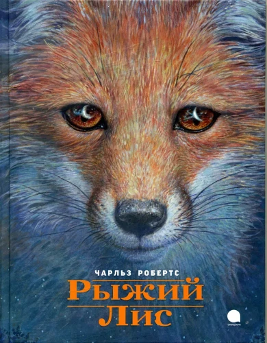 Рыжий лис.webp