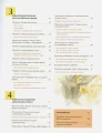 3.webp