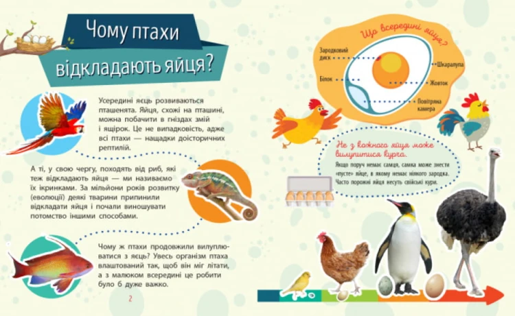 Тварини. Чомусики3.jpg