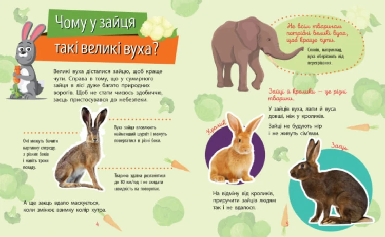 Тварини. Чомусики4.jpg