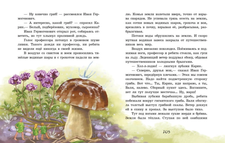 Необыкновенные приключения Карика и Вали3.jpg