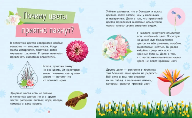 Растения. ПочемучкиРастения. Почемучки4.jpg