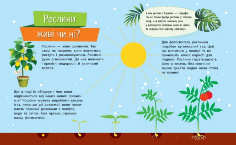 Рослини. Чомусики5.jpg