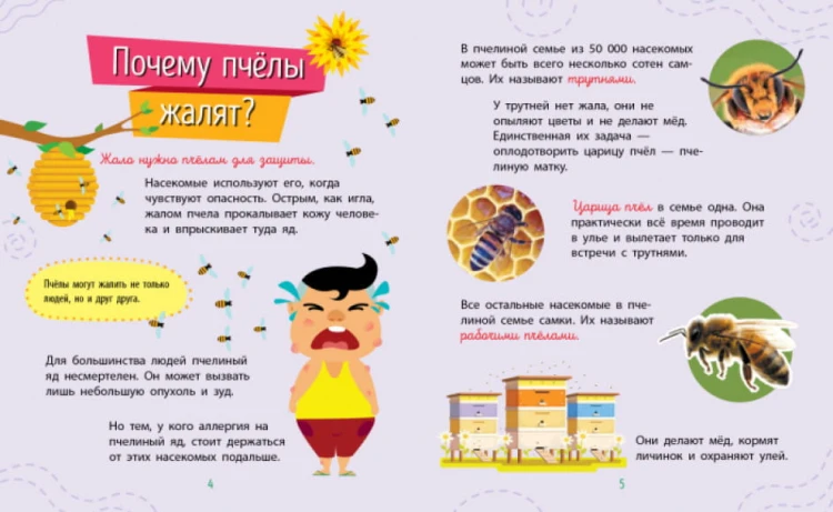 Насекомые. Почемучки4.jpg
