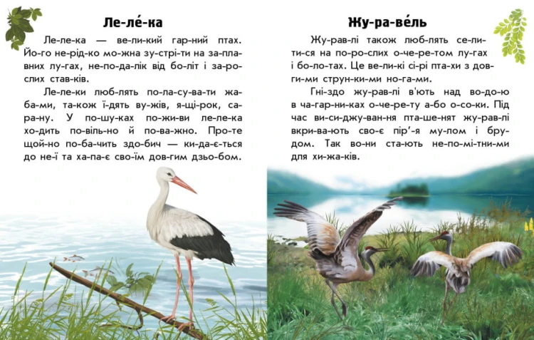 Читаю про Україну. Тварини степів3.jpg