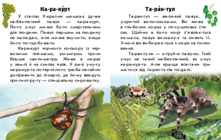 Читаю про Україну. Тварини степів4.jpg