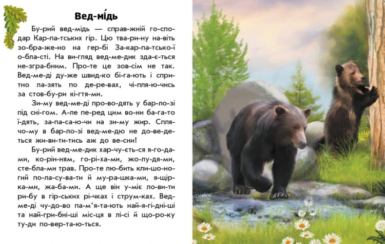 Читаю про Україну. Тварини гір 2.jpg